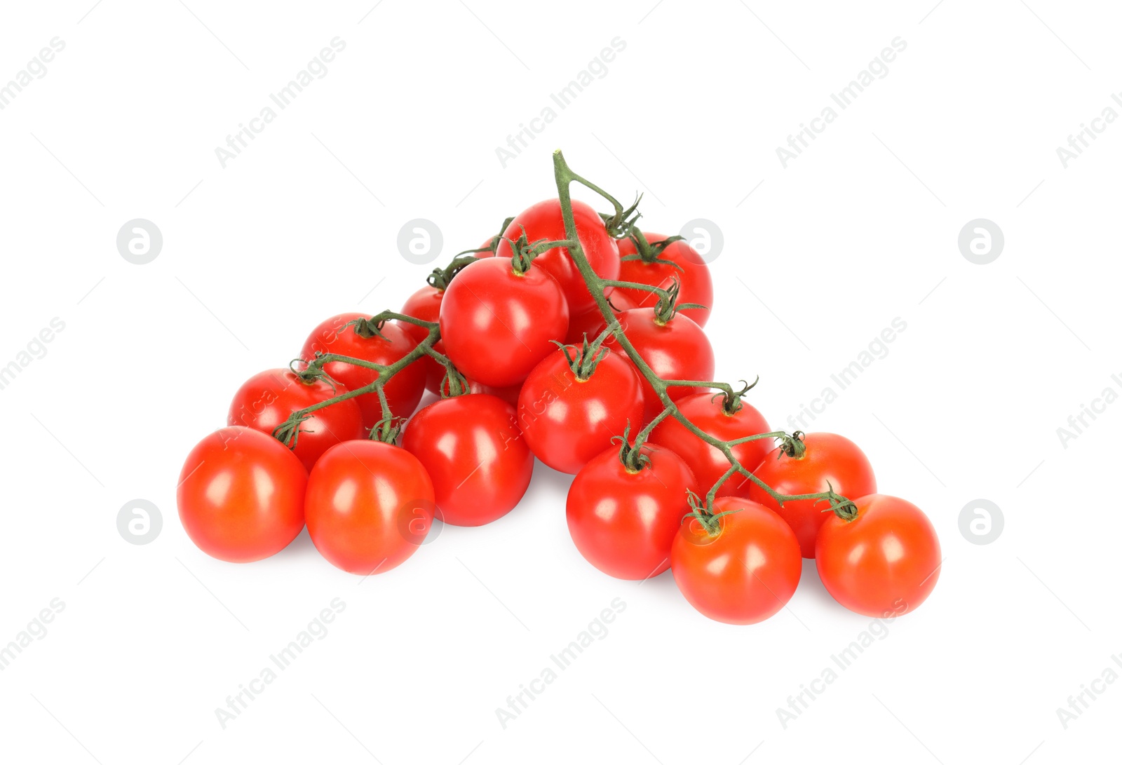 Branches with ripe cherry tomatoes isolated on white Photo of Branches with ripe cherry tomatoes isolated on white