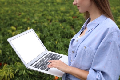 Woman using laptop with blank screen in field, closeup. Agriculture technology