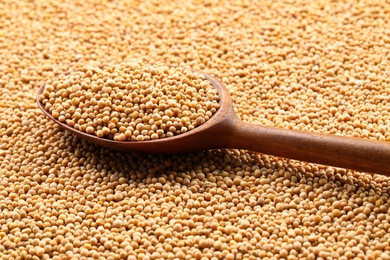 Mustard seeds and wooden spoon, closeup view