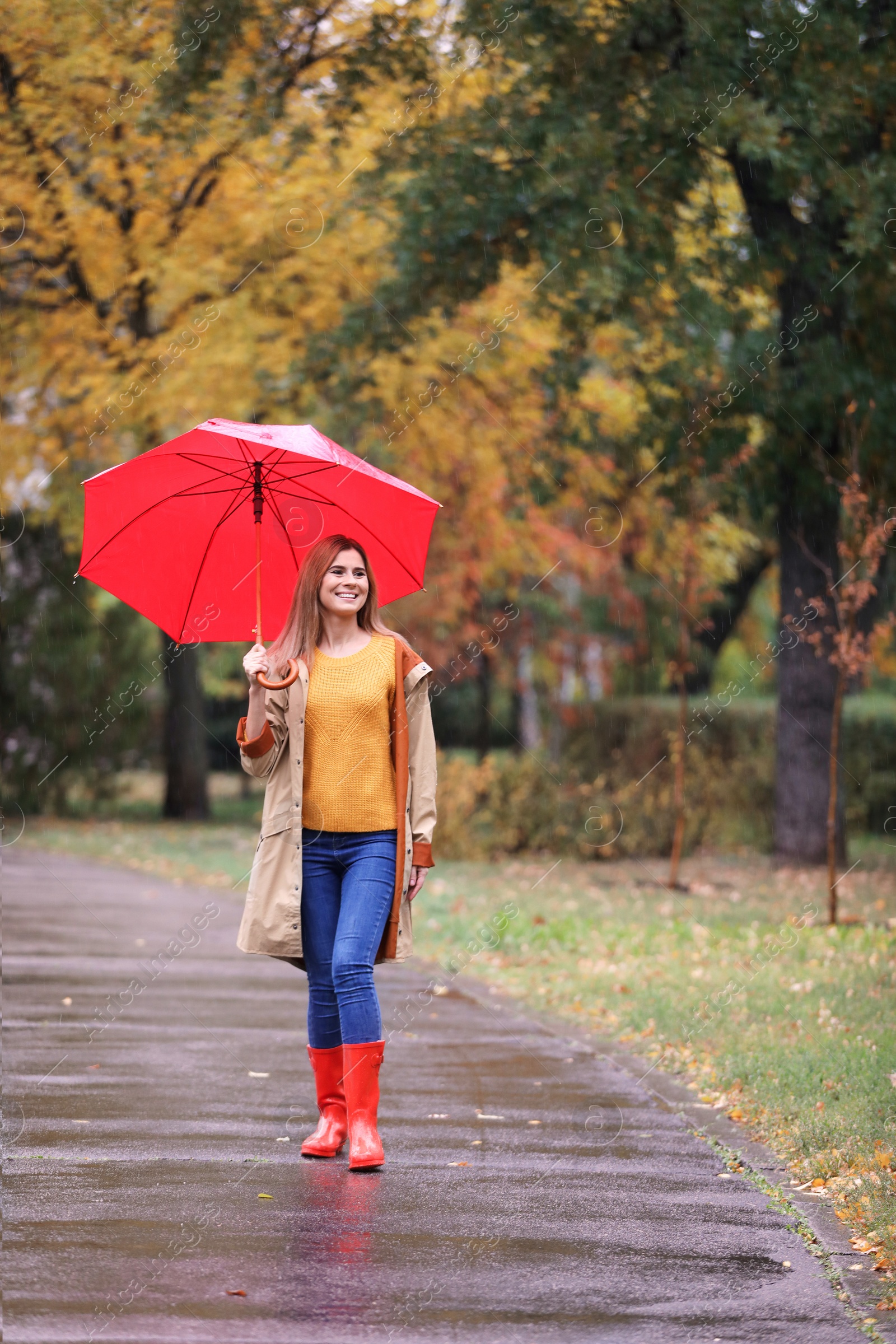 Photo of Woman with umbrella taking walk in autumn park on rainy day