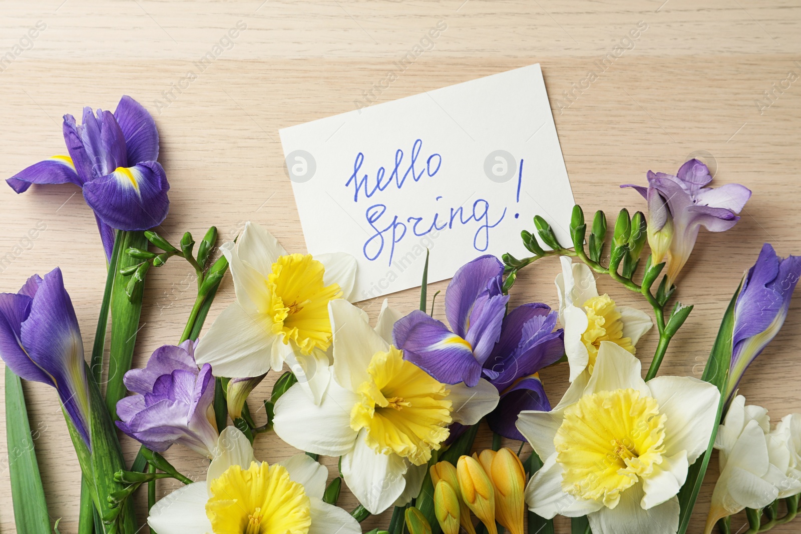 Photo of Card with words HELLO SPRING and fresh flowers on wooden table, flat lay