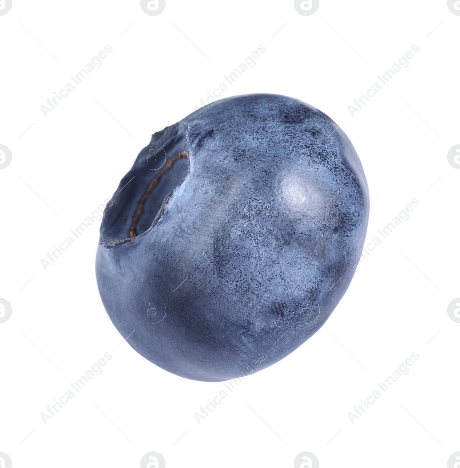 Photo of One fresh ripe blueberry isolated on white