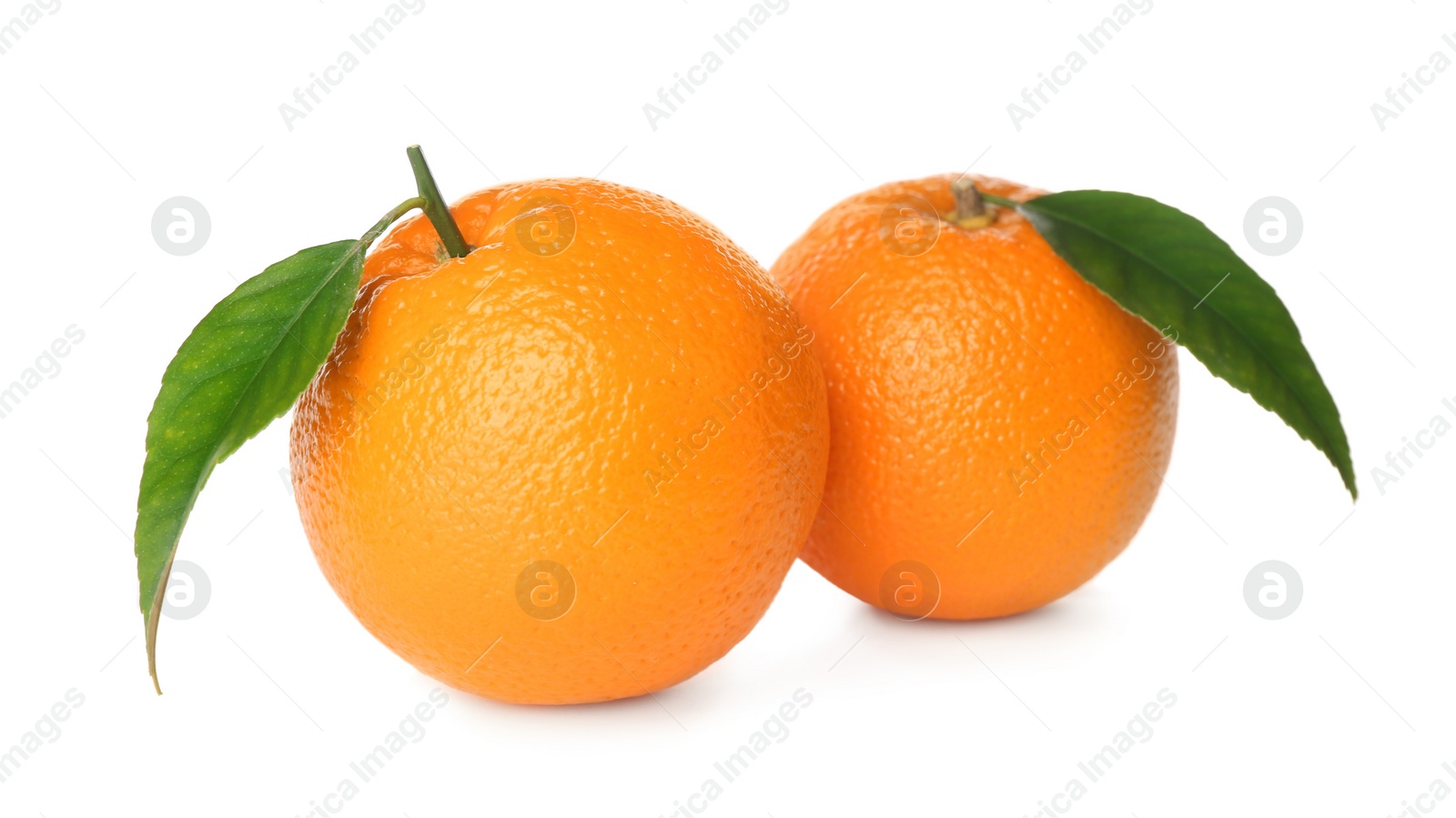 Photo of Fresh ripe oranges with green leaves on white background