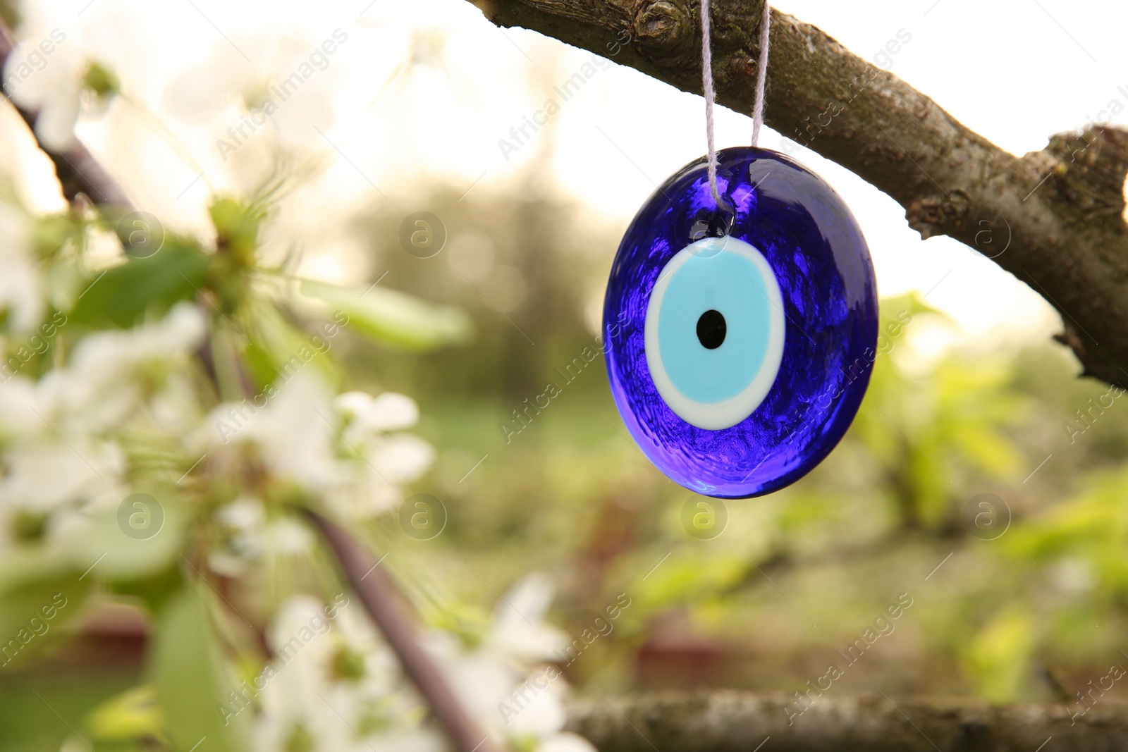 Photo of Evil eye amulet hanging on blossoming spring tree outdoors, closeup. Space for text