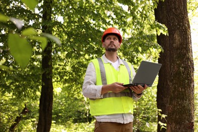 Forester in hard hat with laptop working in forest