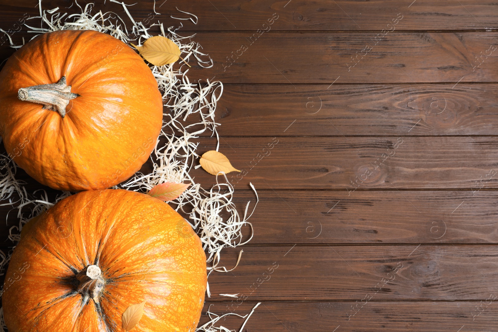 Photo of Flat lay composition with pumpkins and space for text on wooden background. Autumn holidays