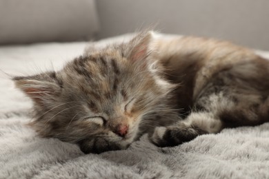 Photo of Cute kitten sleeping on fuzzy grey blanket