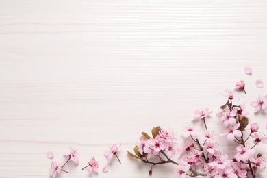 Photo of Beautiful spring tree blossoms as border on white wooden table, flat lay. Space for text