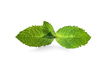 Fresh green mint leaves on white background