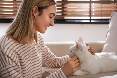 Photo of Young woman petting her beautiful white cat at home. Fluffy pet