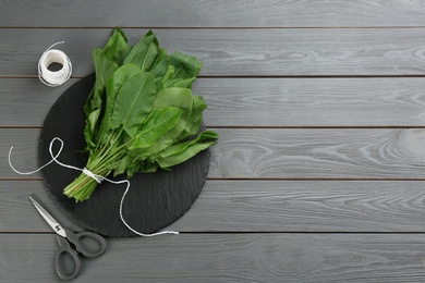 Fresh green sorrel leaves, scissors and thread on grey wooden table, flat lay. Space for text