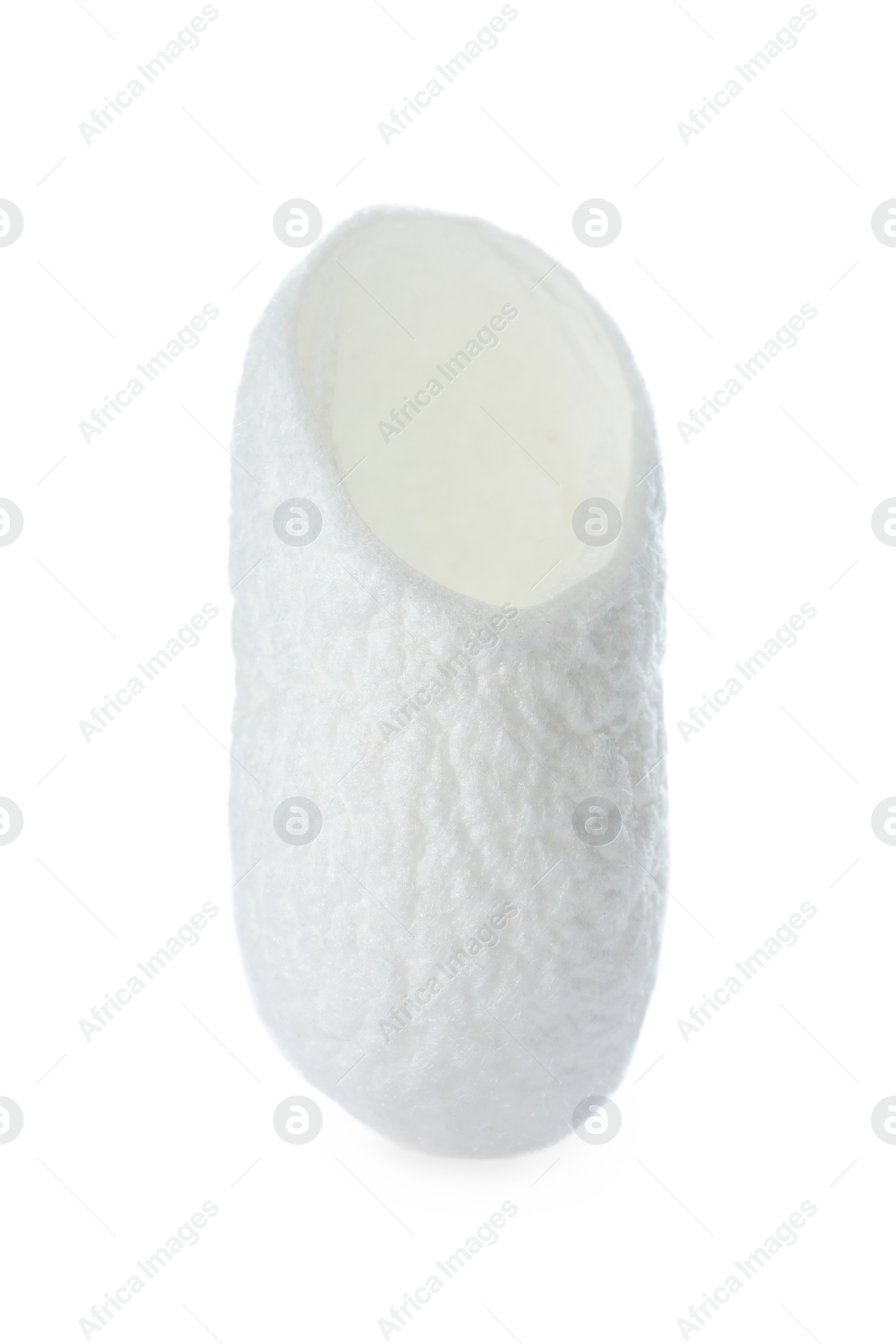 Photo of Beautiful natural silkworm cocoon isolated on white