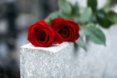 Photo of Red roses on light grey tombstone outdoors, closeup. Funeral ceremony