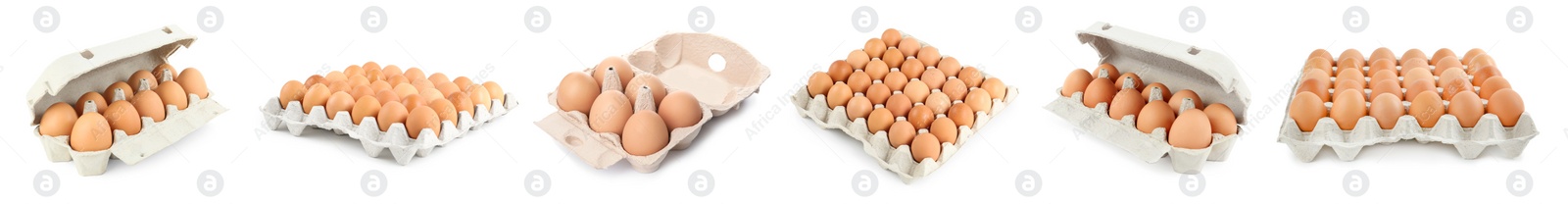 Image of Set of raw chicken eggs on white background. Banner design 