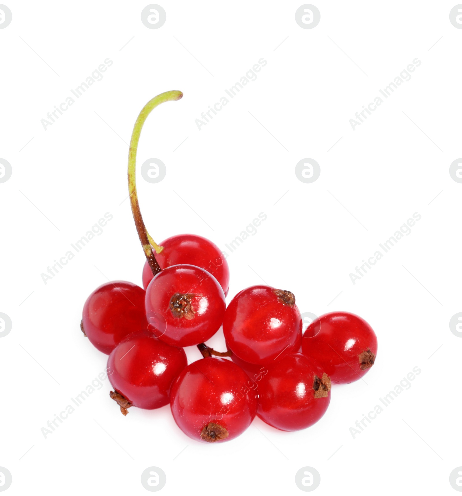 Photo of Bunch of fresh ripe red currants isolated on white, top view