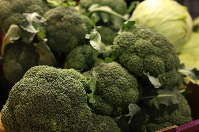 Photo of Fresh broccoli and cabbages on counter at market, closeup