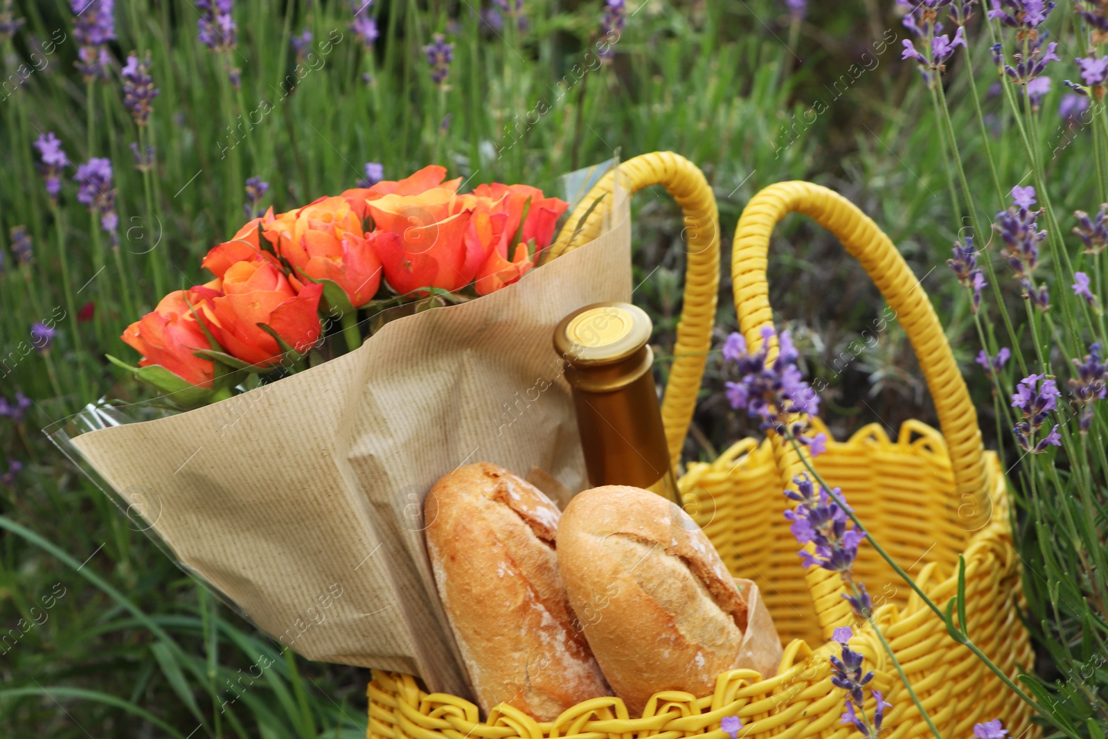 Photo of Yellow wicker bag with beautiful roses, bottle of wine and baguettes in lavender field, closeup