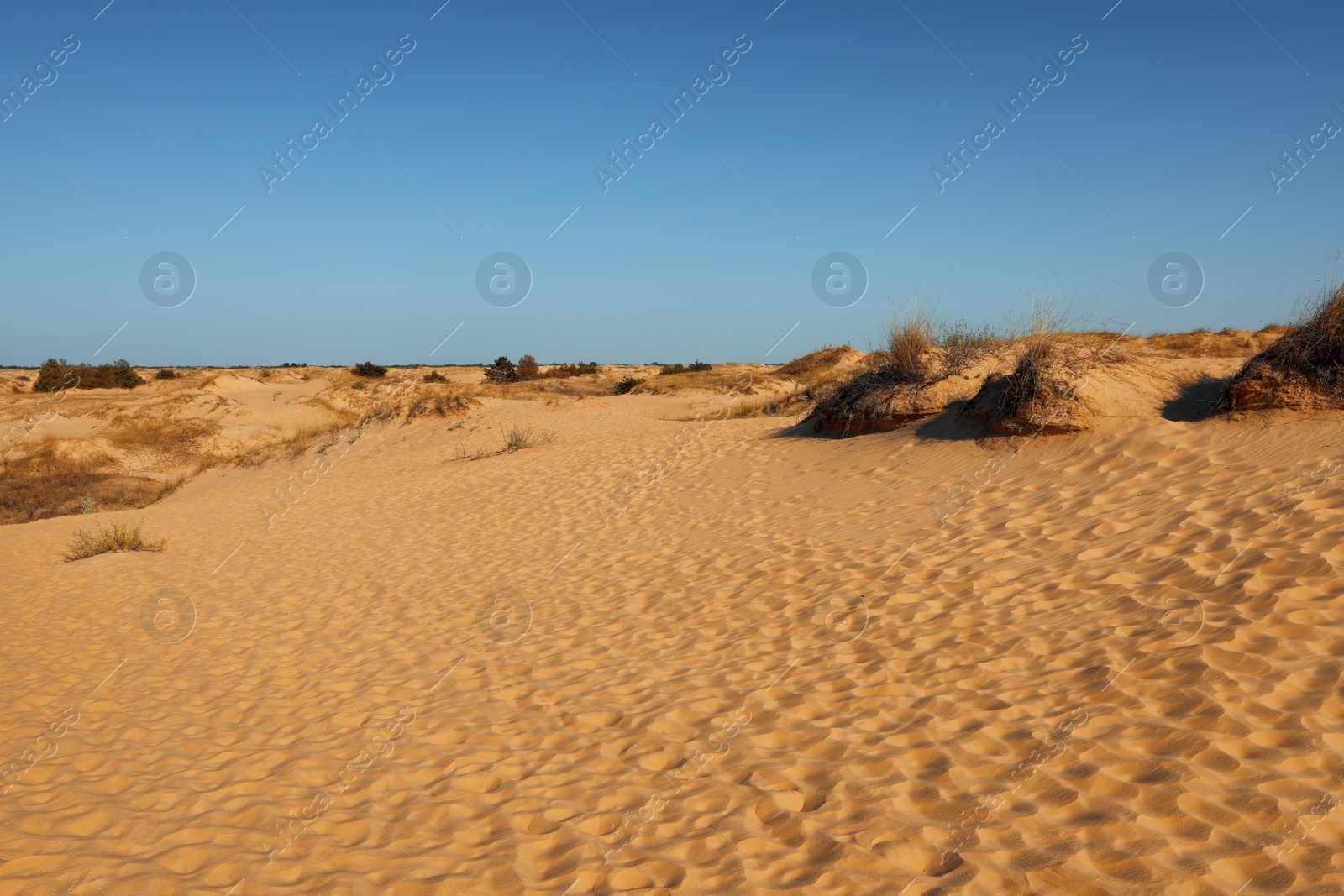 Photo of Picturesque view of desert on sunny day