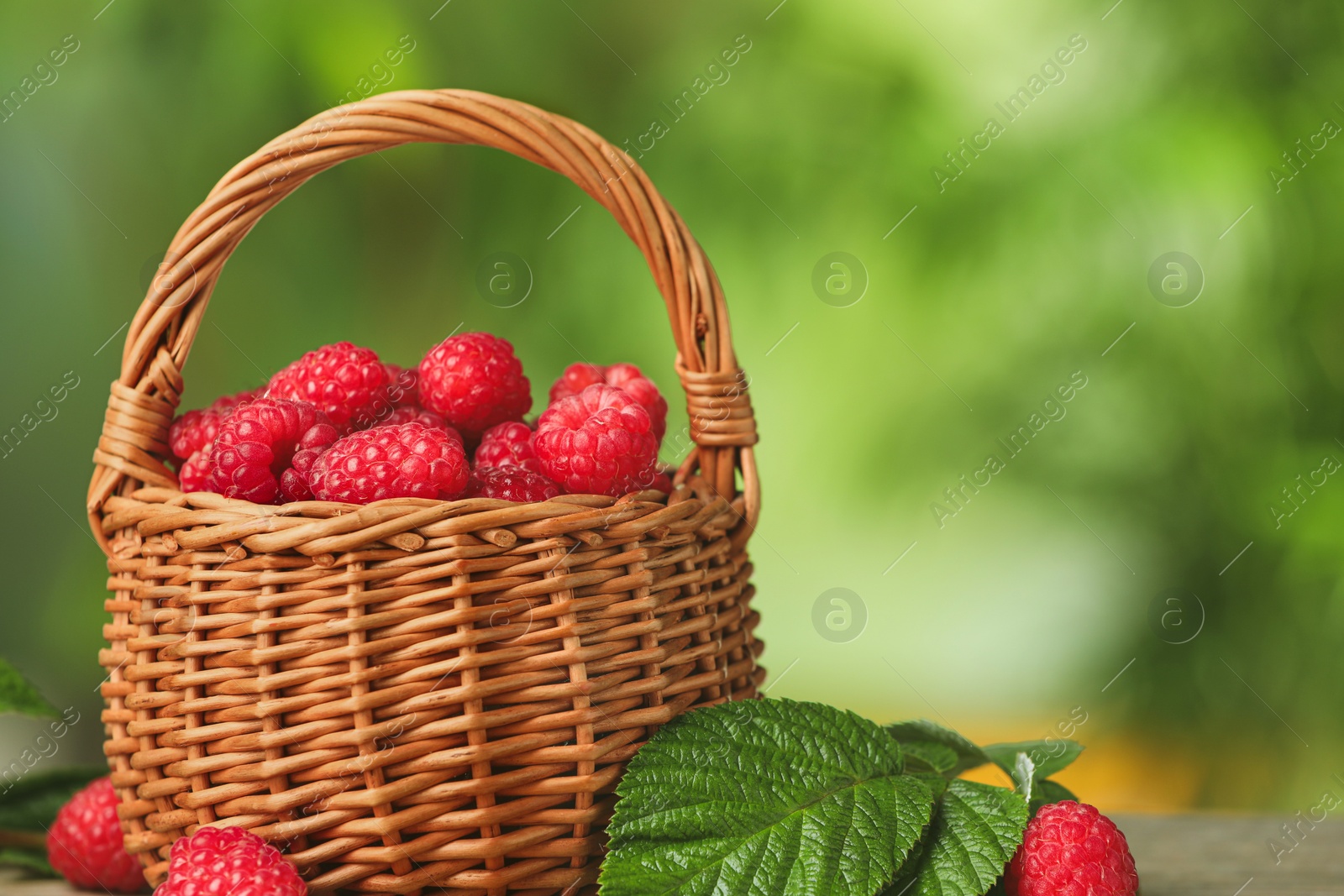 Photo of Wicker basket with tasty ripe raspberries and green leaves on blurred background, closeup. Space for text