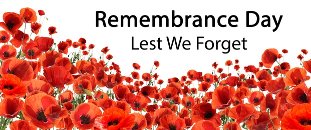 Image of Remembrance day banner. Red poppy flowers and text Lest We Forget on white background