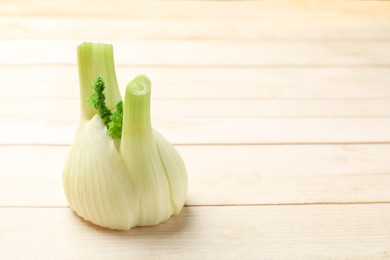 Fresh raw fennel bulb on light wooden table, closeup. Space for text
