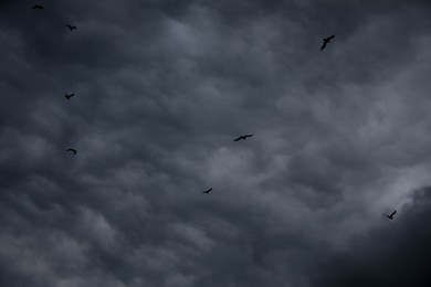 Picturesque view of birds in sky with heavy rainy clouds
