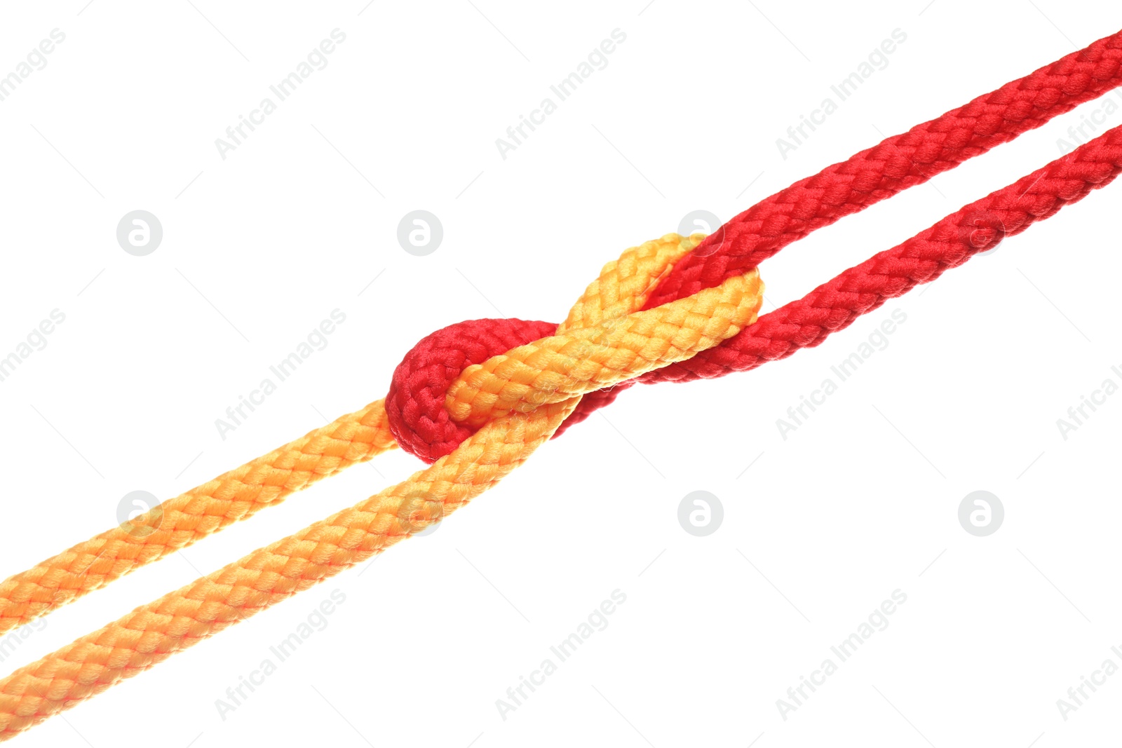 Photo of Colorful ropes tied together with knot isolated on white. Unity concept