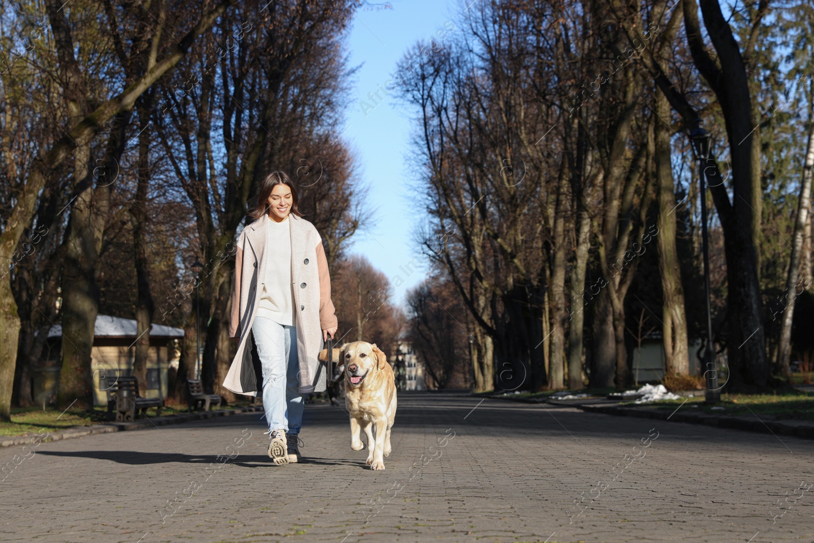 Photo of Young woman walking with adorable Labrador Retriever on sunny day outdoors. Space for text