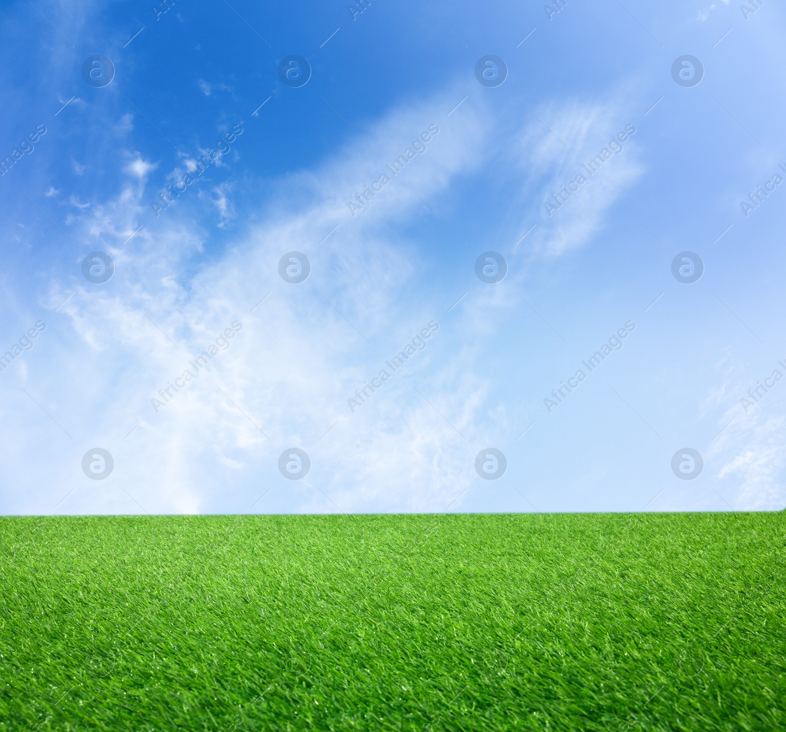 Image of Green grass under blue sky with clouds