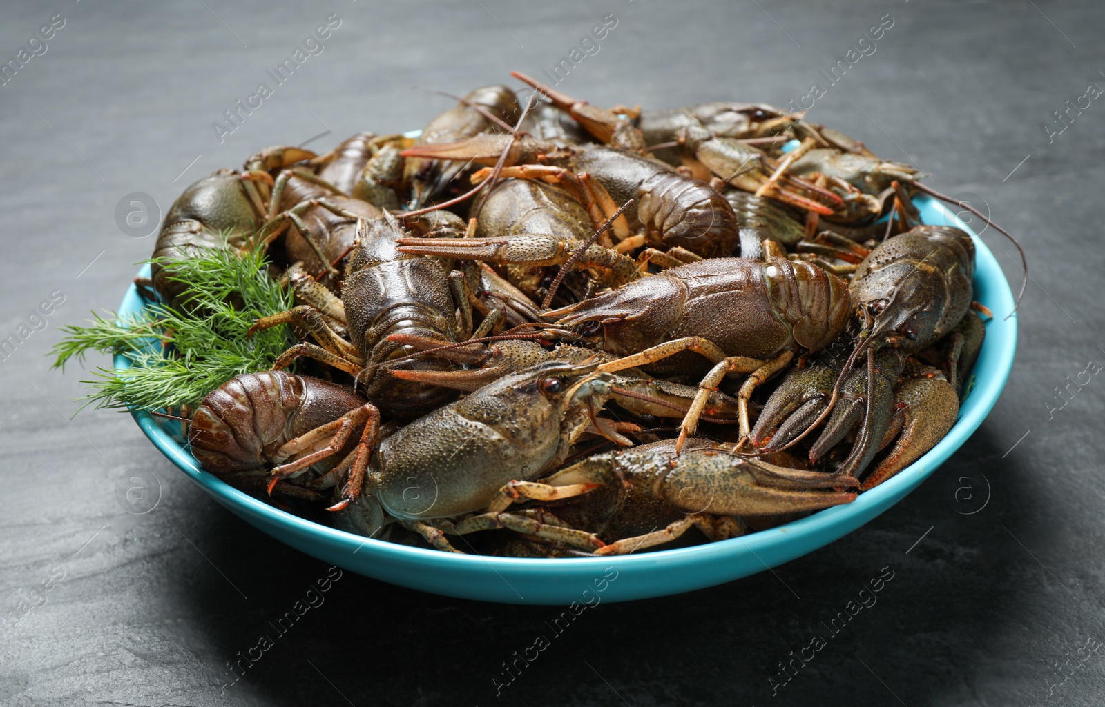 Photo of Fresh raw crayfishes with dill on black table