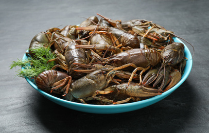 Photo of Fresh raw crayfishes with dill on black table