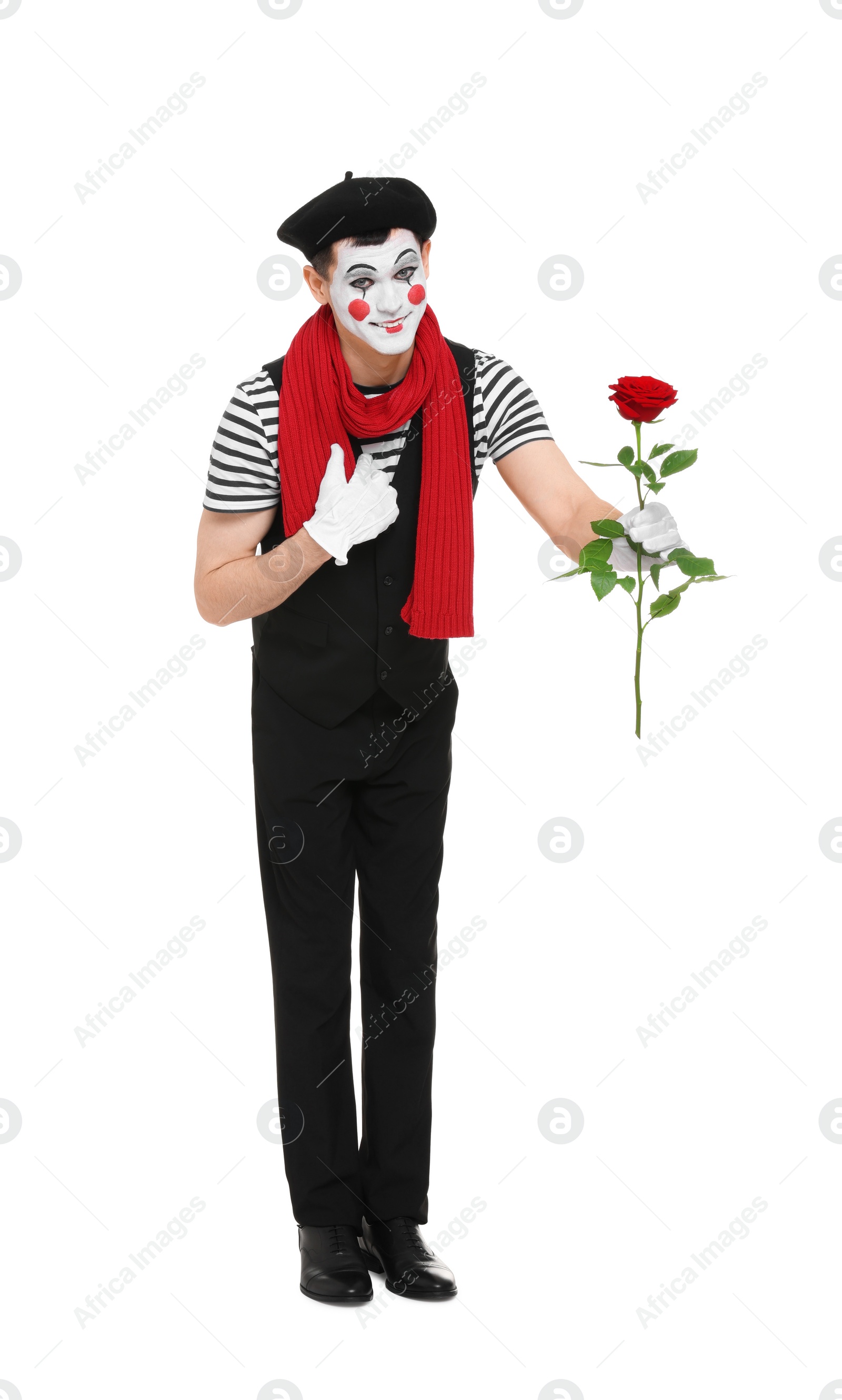 Photo of Funny mime artist with red rose posing on white background