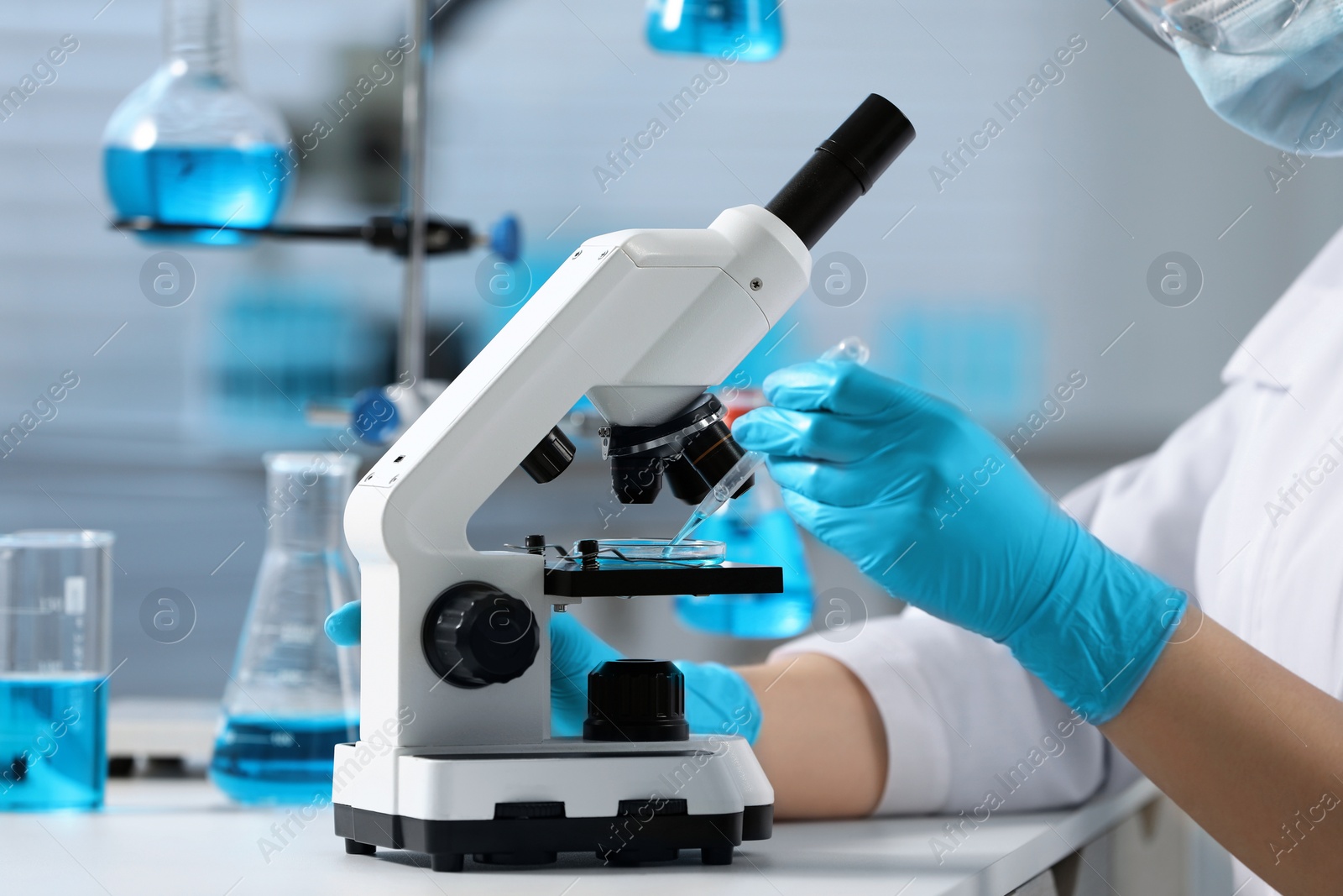 Photo of Scientist dripping sample onto Petri dish while working with microscope in laboratory, closeup