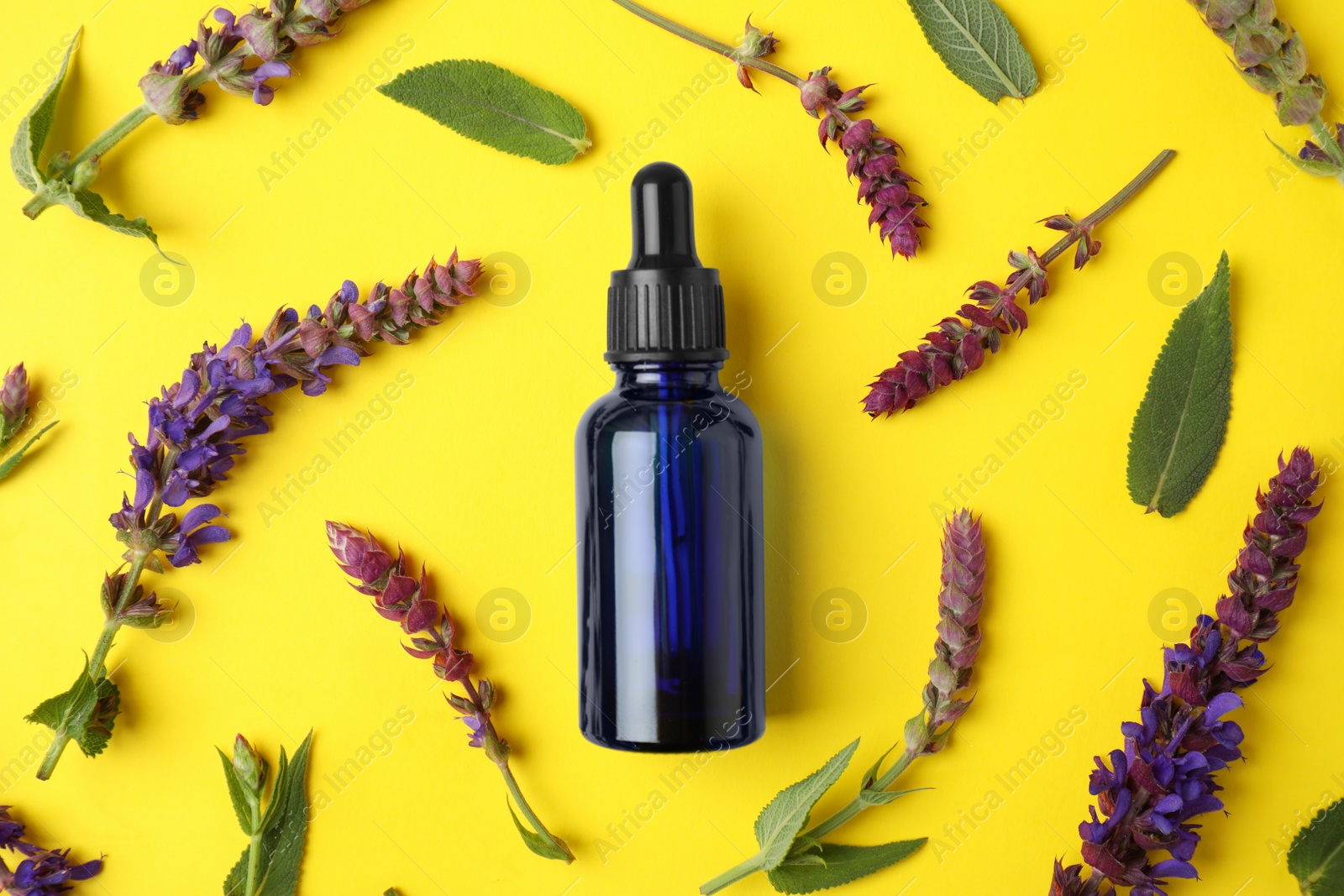 Photo of Bottle of sage essential oil and flowers on color background, flat lay