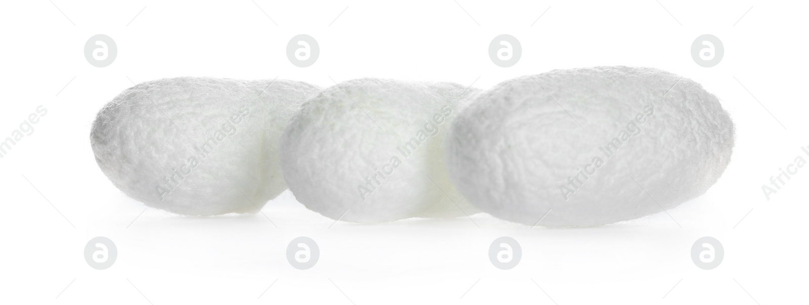 Photo of Beautiful natural silkworm cocoons on white background