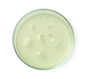 Photo of Petri dish with liquid sample on white background, top view