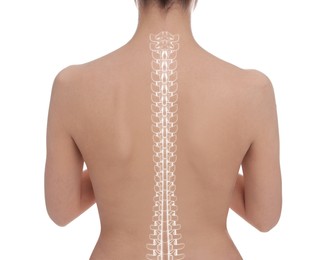 Image of Woman with healthy back on white background, closeup. Illustration of spine