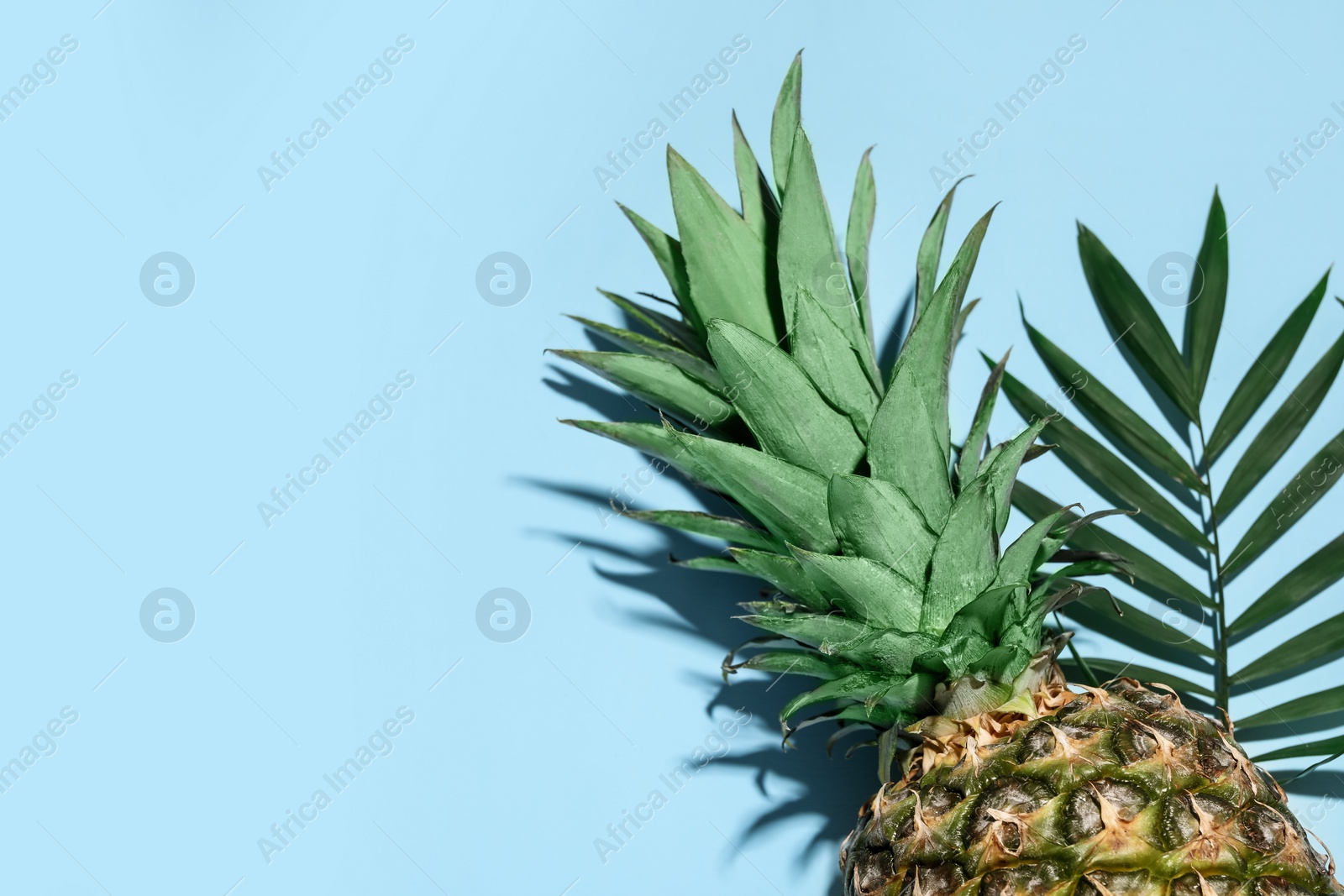 Photo of Whole ripe pineapple and green leaves on light blue background, flat lay. Space for text