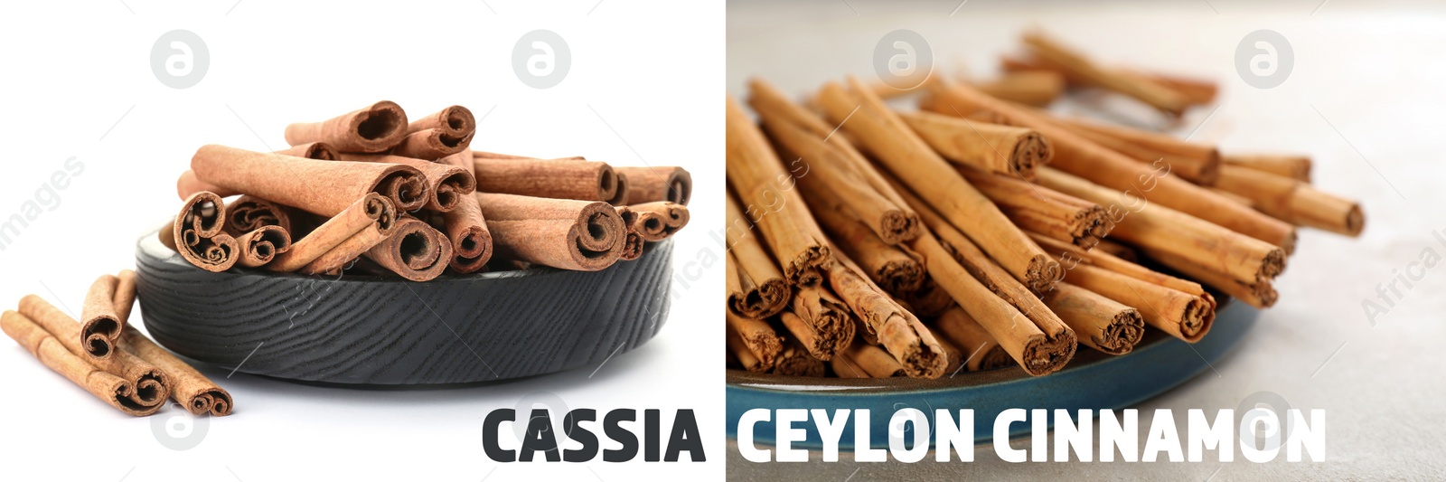 Image of Collage with photos of cassia and ceylon cinnamon sticks. Banner design