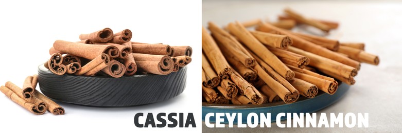 Image of Collage with photos of cassia and ceylon cinnamon sticks. Banner design