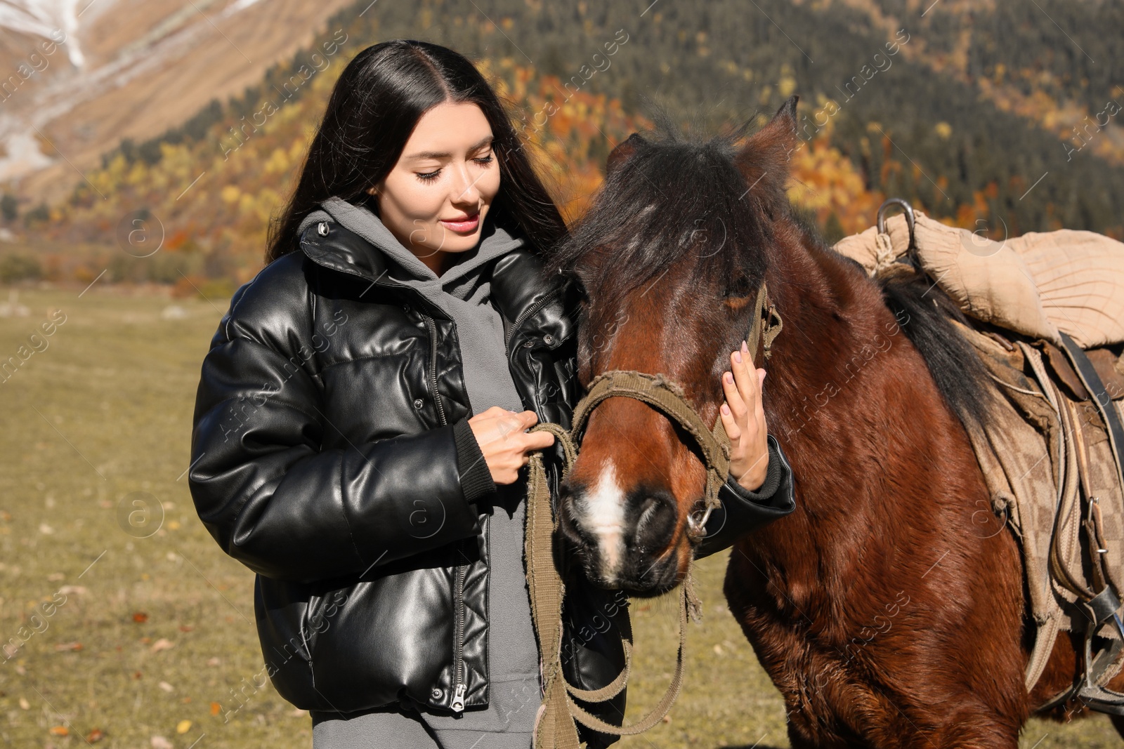 Photo of Young woman stroking horse in mountains on sunny day. Beautiful pet