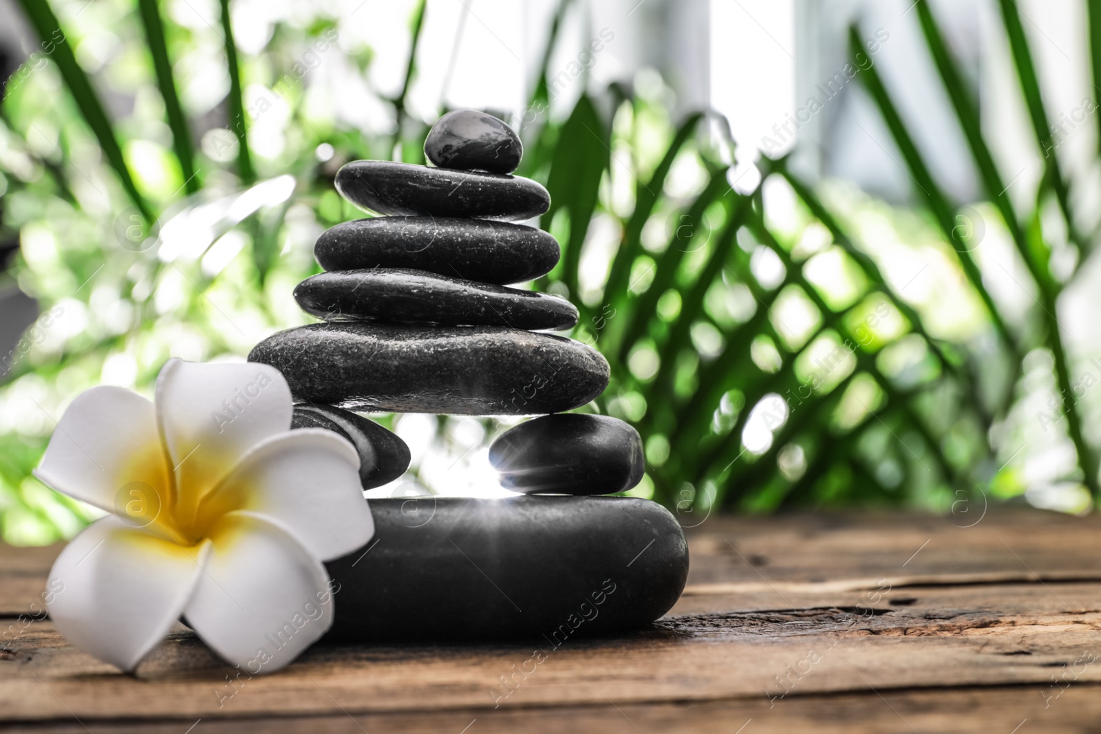 Photo of Table with stack of stones, flower and blurred green leaves on background, space for text. Zen concept