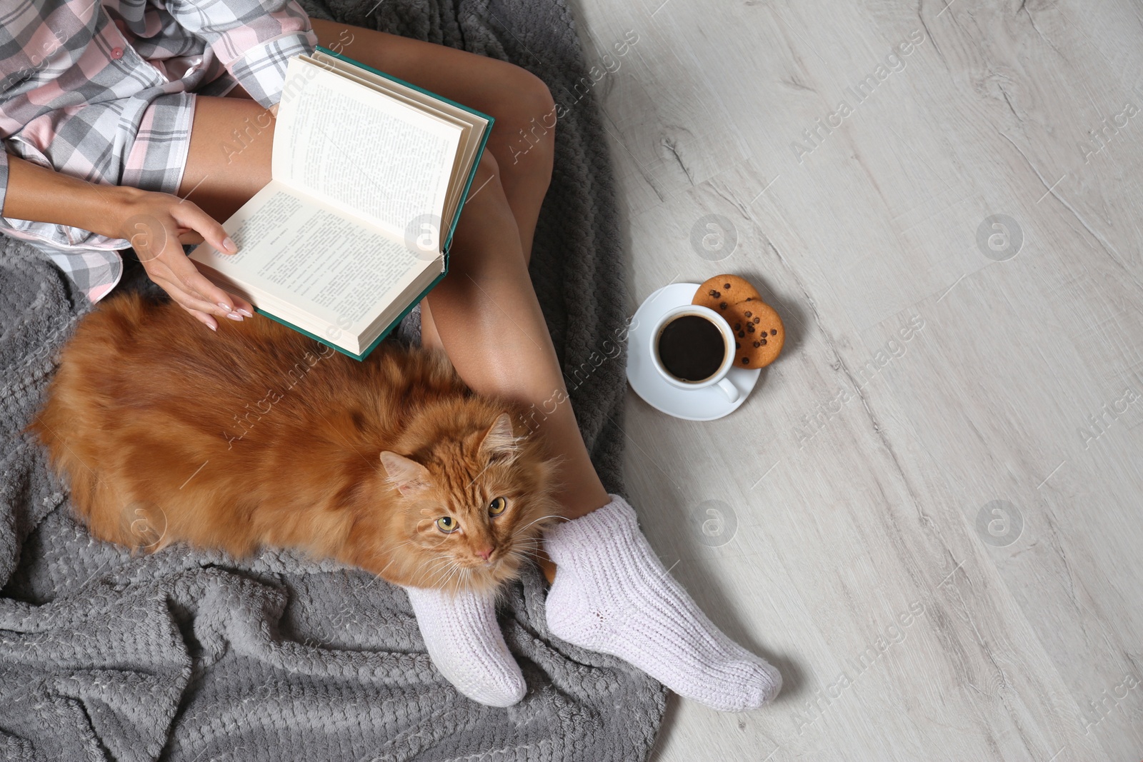 Photo of Woman with cute red cat and book on floor, top view. Space for text