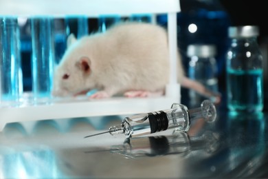 Photo of Rat in chemical laboratory, focus on syringe. Animal testing
