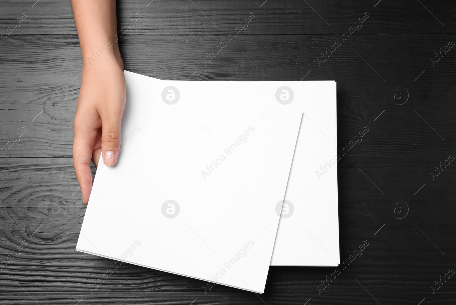 Photo of Woman holding blank paper sheets for brochure at black wooden table, top view. Mock up