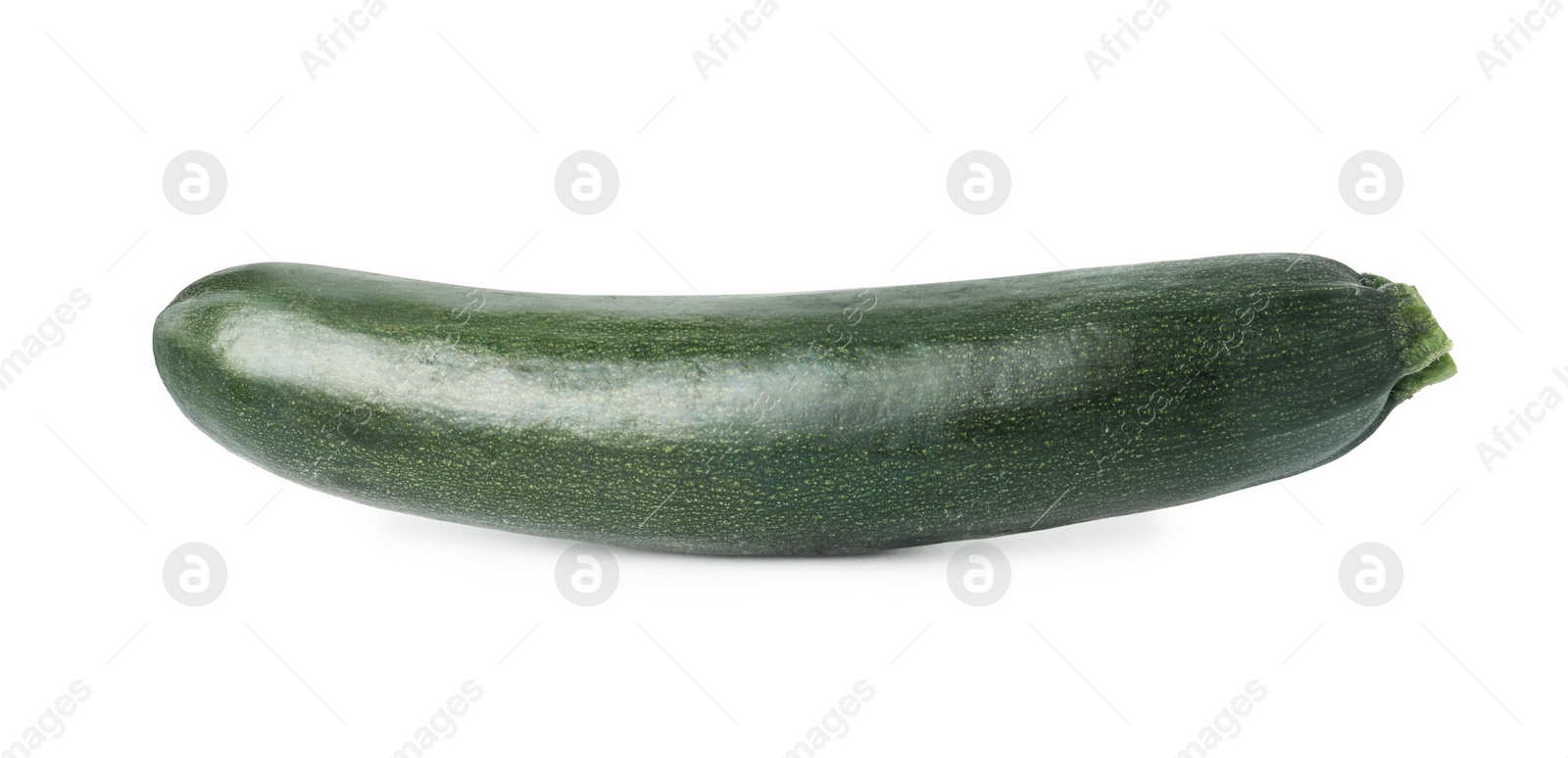 Photo of Raw green ripe zucchini isolated on white