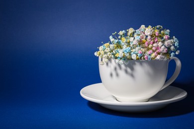 Beautiful gypsophila flowers in white cup on blue background. Space for text