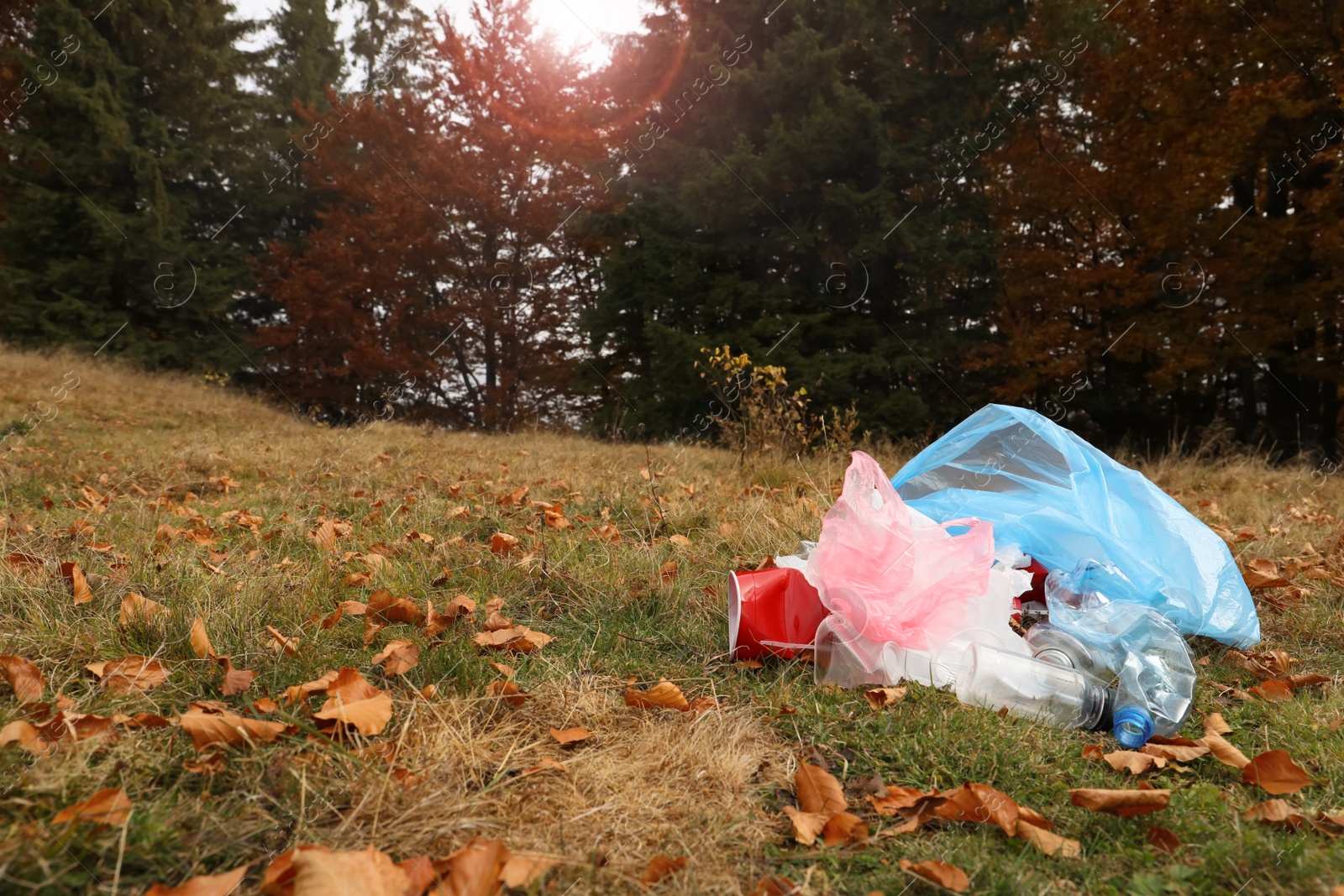 Photo of Pile of plastic garbage on grass near forest. Space for text