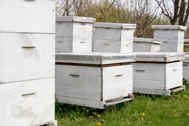 Photo of Many white bee hives at apiary outdoors
