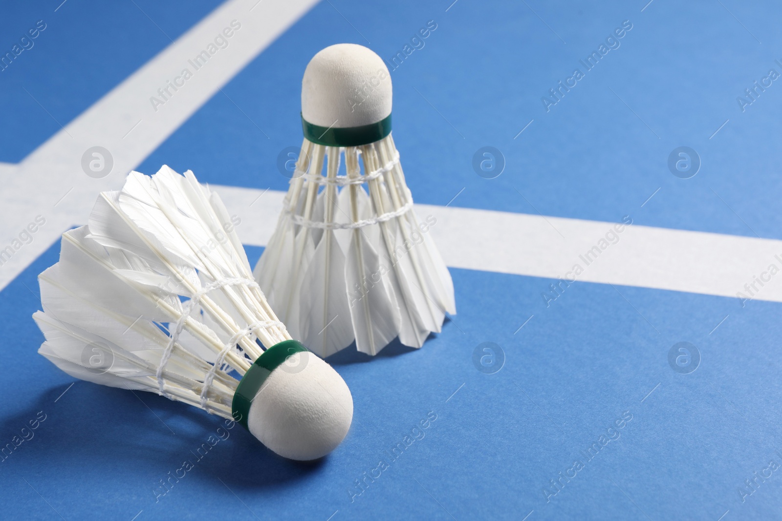 Photo of Feather badminton shuttlecocks on blue background, closeup. Space for text